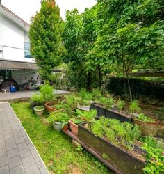 Mount Pleasant Road (D11), Detached #574673781